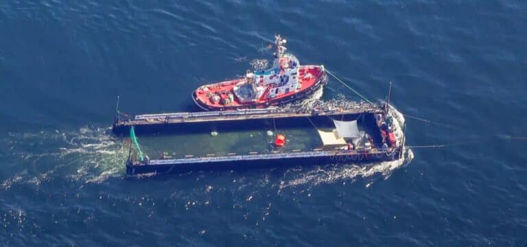 Buckelwal‑Drama: Schiffscrew geht juristisch gegen Tierärztin vor – Vorwürfe sorgten für Eskalation