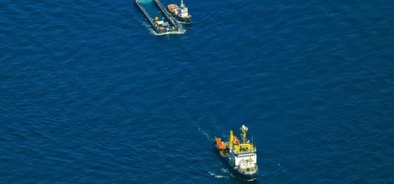 Neue Vorwürfe nach Timmys Freisetzung – Tierärztin kritisiert Crew und Ablauf