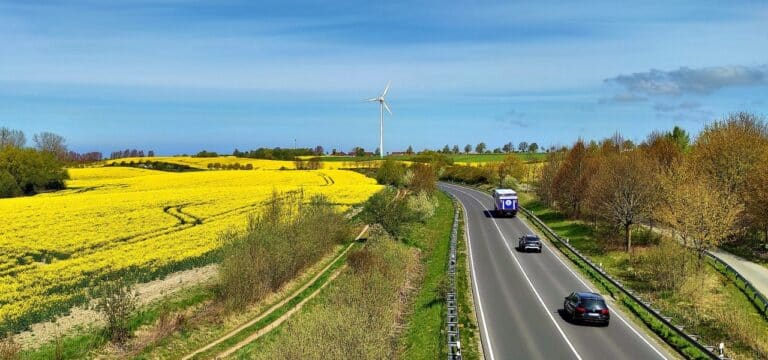 Weniger Autos, mehr Lebensqualität: Wismar plant die Verkehrswende – Bürgerschaft soll entscheiden!