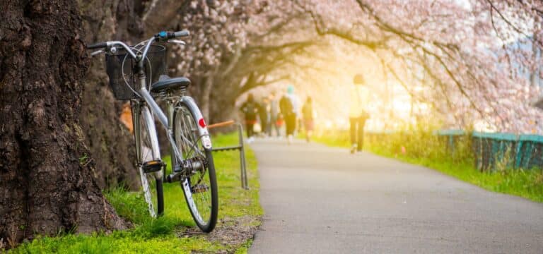 Sonnig und trocken: Temperaturen steigen in Nordwestmecklenburg weiter an
