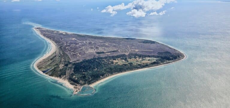 Toter Wal vor dänischer Insel Anholt entdeckt