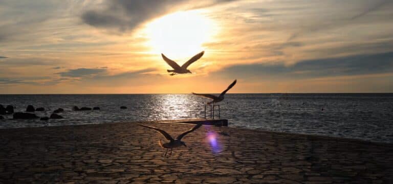 Ein perfekter Sommertag voller Highlights in Wismar und Nordwestmecklenburg