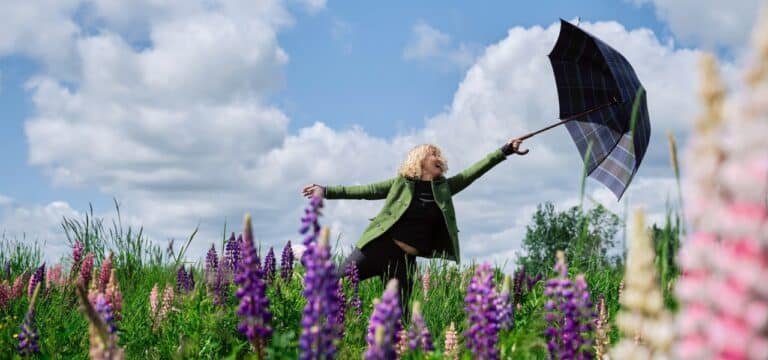 Sommerhighlights in Wismar und Nordwestmecklenburg: Breites Kultur‑ und Freizeitprogramm am Dienstag