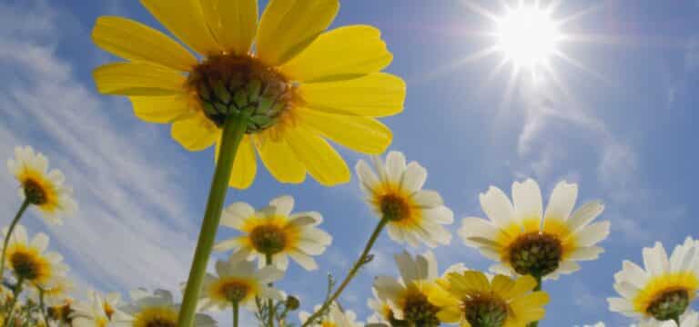 Freundlicher Dienstag in Wismar: Sonne, milde Temperaturen und nur wenige Wolken