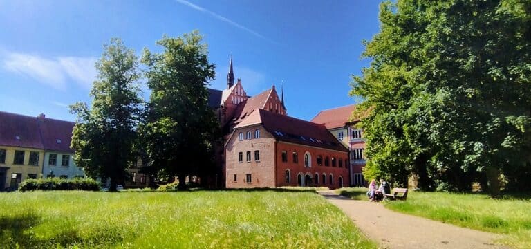 Verwilderte Grünflächen in Wismar – Stadtbild zeigt vielerorts deutlichen Pflegebedarf